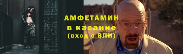шишки Алзамай